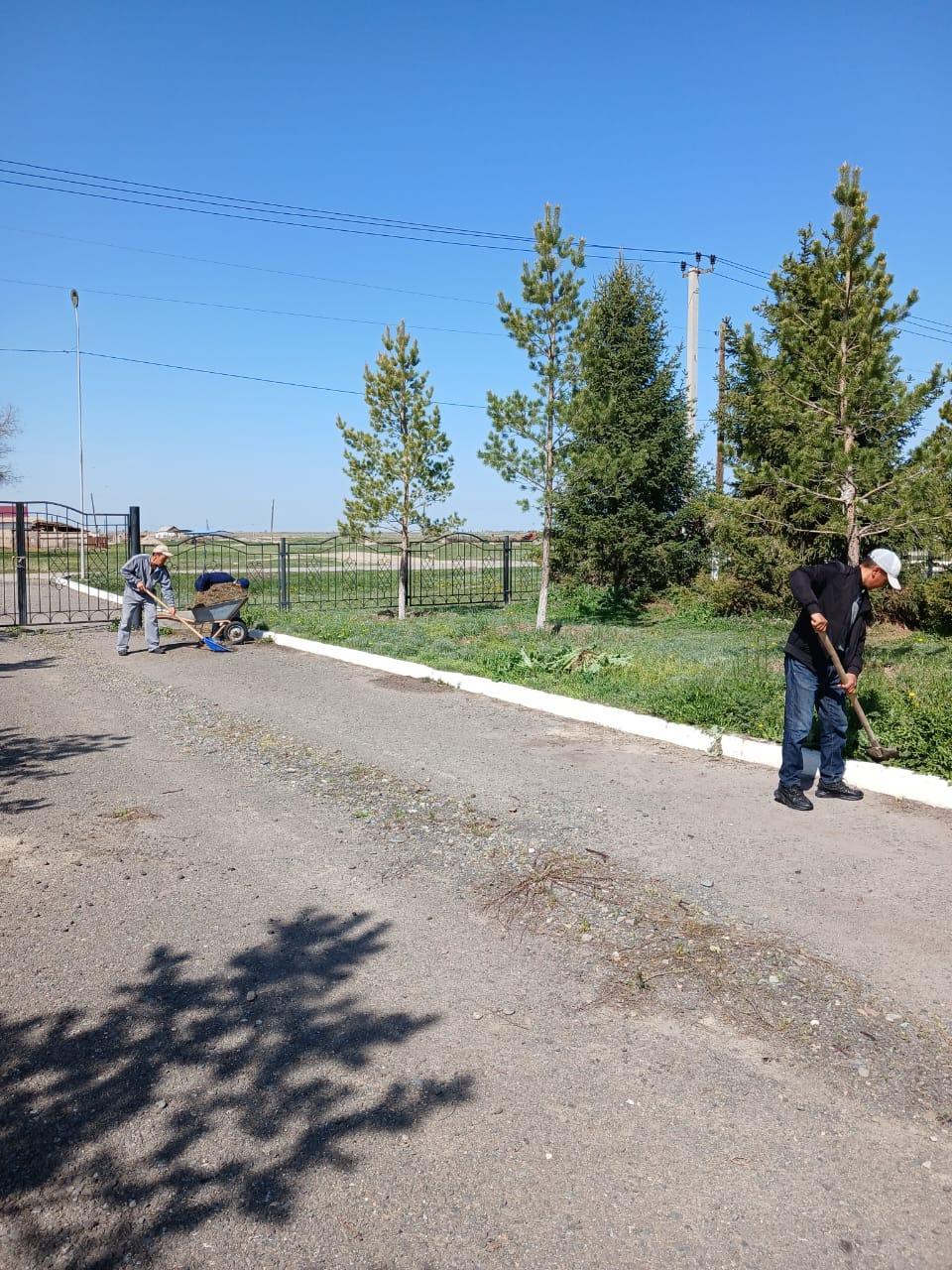 Бижарас Садырбайұлы атындағы орта мектебінде "Жасыл мекен" акциясы аясында мектеп ауласына тазалық жұмыстары жүргізілді